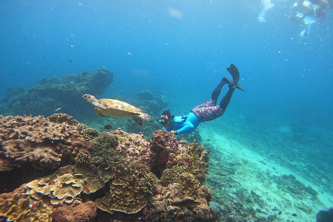 Snorkeling Day Trip to Nusa Lembongan and Nusa Penida - Who will get the most from this trip