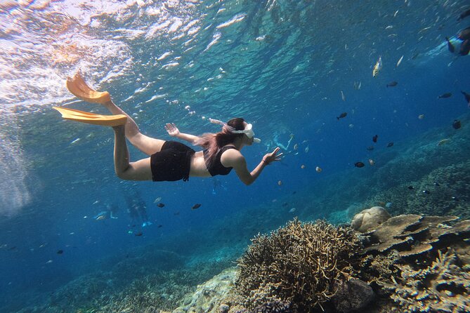 Snorkeling Day Trip to Nusa Lembongan and Nusa Penida - Three snorkeling stops around two islands