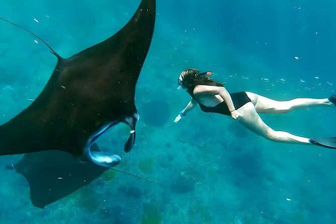 Snorkeling In Nusa Penida Departing From Bali Island - Key points at a glance