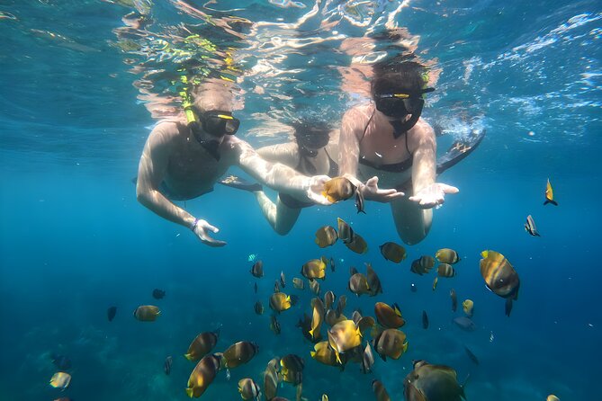 Snorkeling In Nusa Penida Departing From Bali Island - Crystal Bay and the search for manta rays
