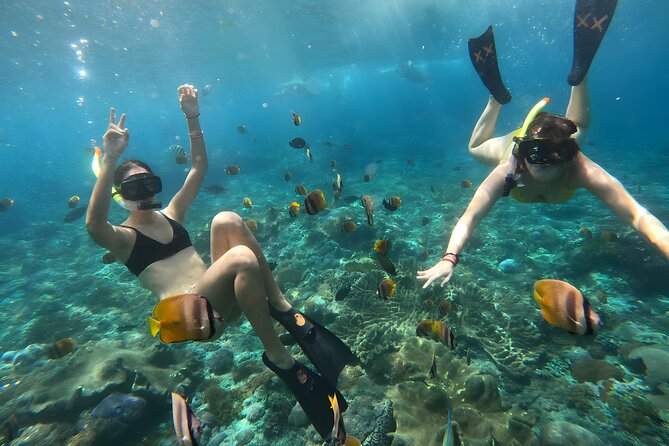 Snorkeling In Nusa Penida Departing From Bali Island - The Nusa Penida boat routine