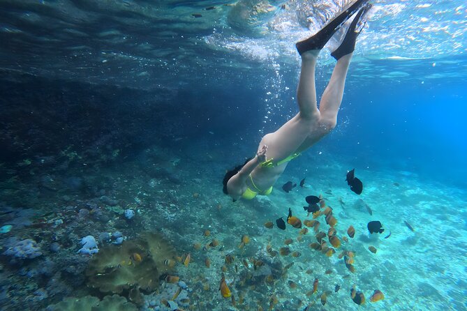Snorkeling In Nusa Penida Departing From Bali Island - Shared boat, basic facilities, and comfort