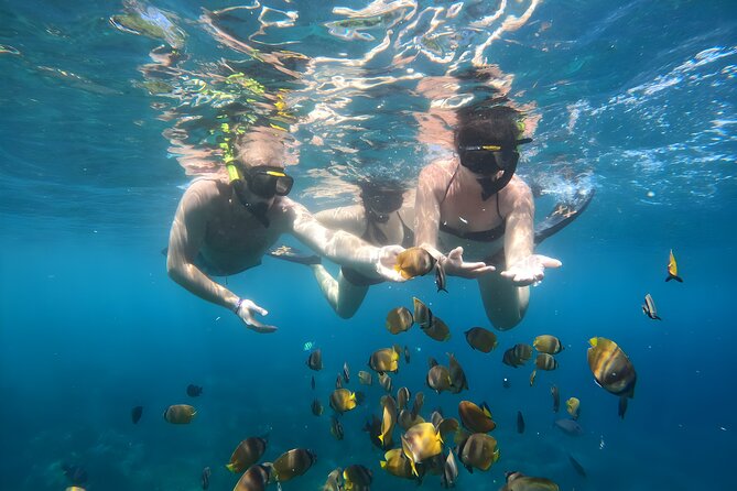 Snorkeling In Nusa Penida Island With Manta Ray From Bali - Gamat Bay: a strong opening stop when conditions cooperate