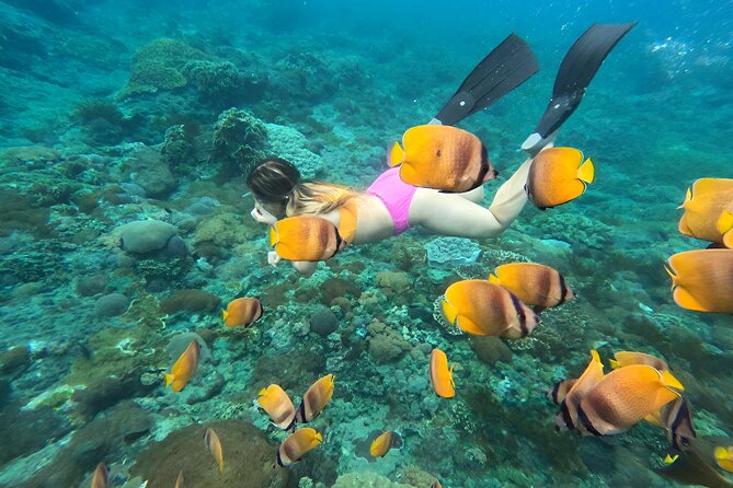 Snorkeling In Nusa Penida Island With Manta Ray From Bali - Wall Point and Crystal Bay: reef scenery with a busy schedule