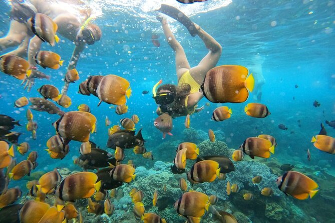 Snorkeling In Nusa Penida Island With Manta Ray From Bali - What the $95 price really covers