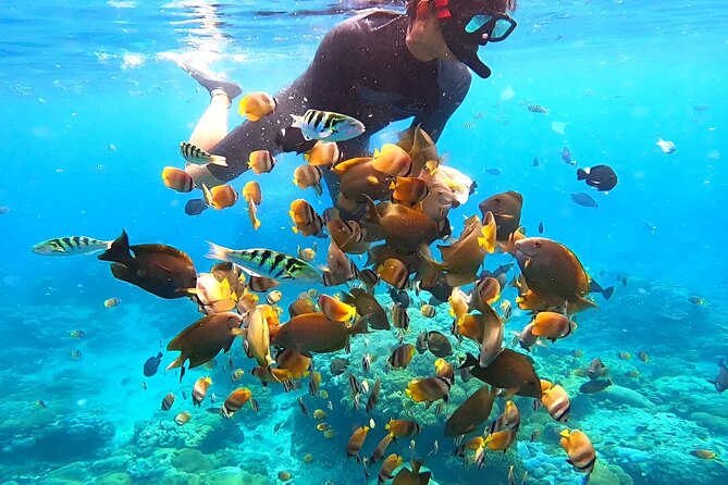 Snorkeling In Nusa Penida Island With Manta Ray From Bali - Who will enjoy this trip most