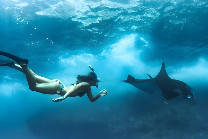 Snorkeling In Nusa Penida Island With Manta Ray From Bali - Sanur Port and the public speedboat crossing