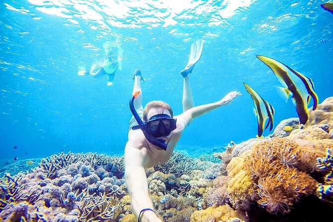Snorkeling Nusa Penida and Island Tour Package - Three snorkeling sites around Nusa Penida