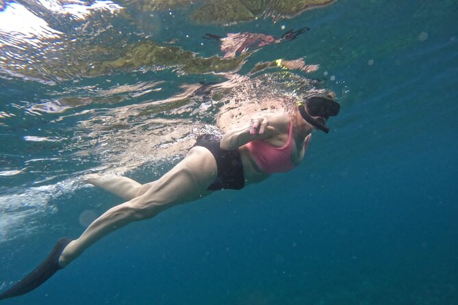Snorkeling Nusa Penida and Island Tour Package - Private tour, shared water activity