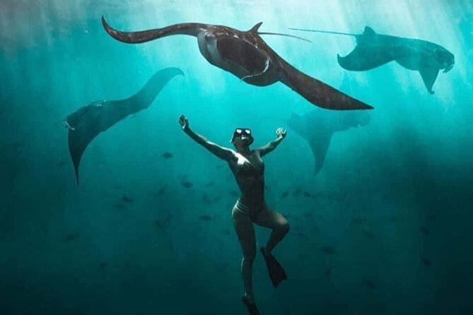 Snorkeling Nusa Penida and Island Tour Package - Who will enjoy this Nusa Penida day