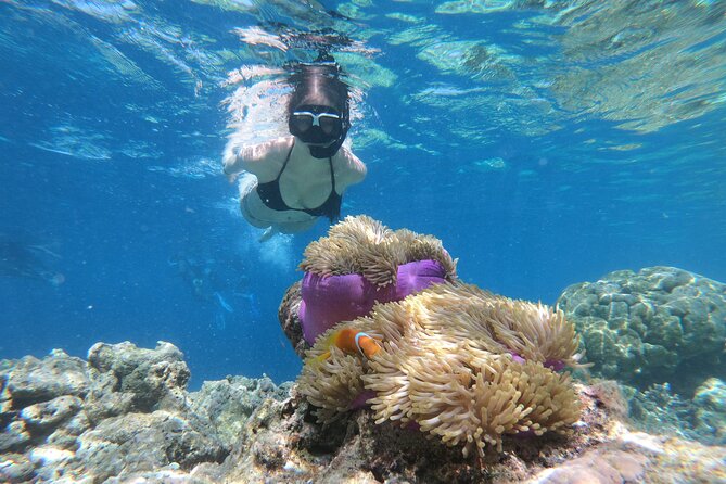 Snorkeling Tour at Blue Lagoon with Private Hotel Transfer - Key points before you book