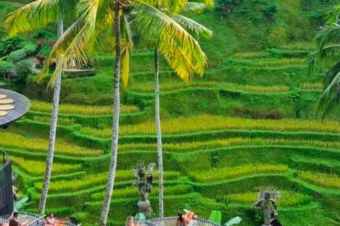 Sunset Sailboat Dinner Cruise & Private Ubud highlights Tour. - The quieter hour at Ulu Petanu