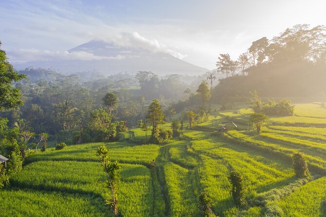 Tanah Lot - Jatiluwih (UNESCO) - Beratan lake -Hidden hill (Wanagiri)-FREE WI-FI - What the private vehicle changes