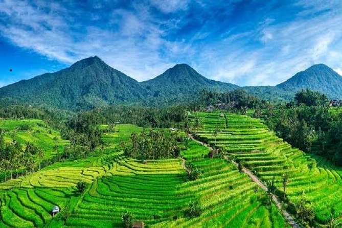 Tanah Lot - Jatiluwih (UNESCO) - Beratan lake -Hidden hill (Wanagiri)-FREE WI-FI - Food, admission costs, and the real value of $37.50