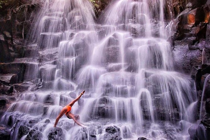 Tanah Lot Temple, Waterfall & Ubud Tour (Private & All-Inclusive) - What $127 means in practical terms