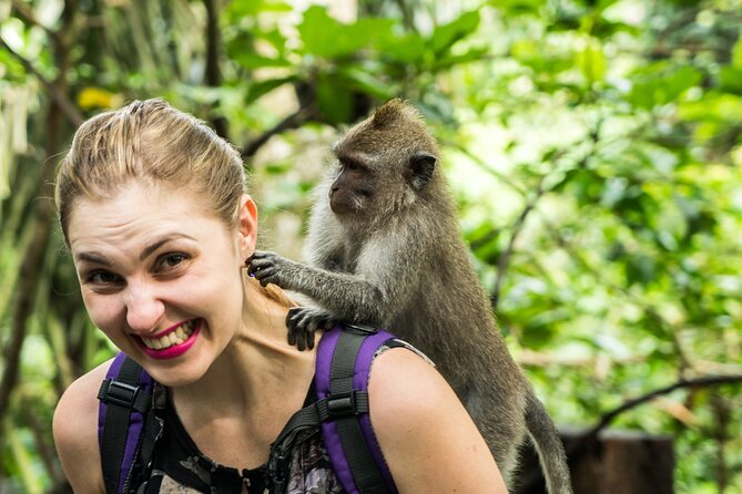 Tanah Lot Tour with Ubud Monkey Forest, Rice Terraces, and Waterfalls - Tanah Lot: a sea temple with a timing catch