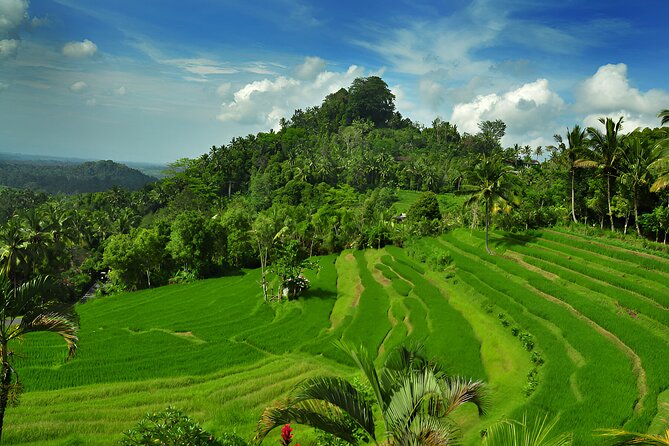 Telaga Waja White Water Rafting and Besakih Temple Tour - Kerta Gosa and Klungkung’s royal past