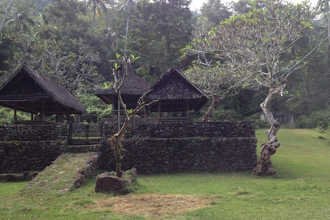 Tenganan Village Rice Field Trekking Tour - Why this East Bali walk feels different
