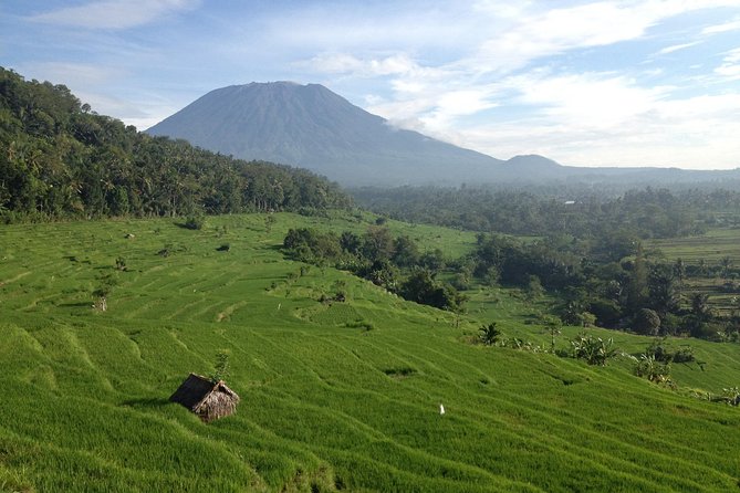 Tenganan Village Rice Field Trekking Tour - Starting at Kastala Village