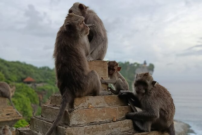 The Uluwatu Tour - Uluwatu Temple above the Indian Ocean