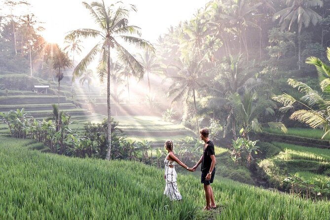 Tlaga Singha Infinity Pool, Jungle swing & Rice Terrace Trip - Who will enjoy this most