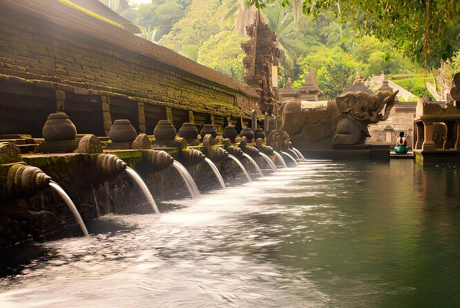 Ubud Bali: Rice Terrace, Waterfall and Tirta empul Day Tour - Why this Ubud route works well in one day