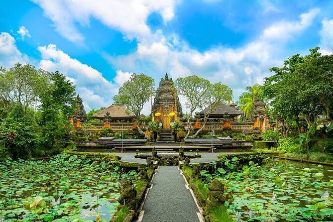 Ubud Bali: Rice Terrace, Waterfall and Tirta empul Day Tour - What the private format really adds
