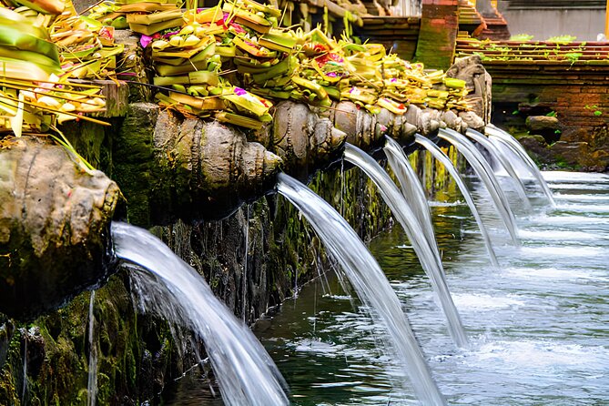 Ubud Bali: Rice Terrace, Waterfall and Tirta empul Day Tour - Goa Gajah, an unusual opening stop