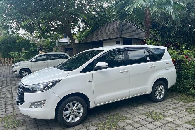 Ubud Cultural and Historical Guided Tour with Transfer - What the private vehicle and guide add