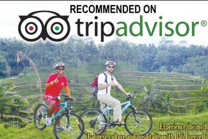 Ubud Cycling Tour - Tegalalang Rice Terrace: a short photo stop