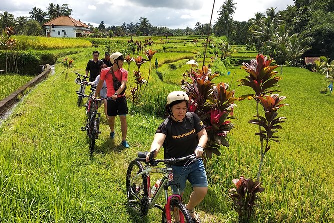 Ubud Cycling Tour - Laksmi Bali Agro Tourism and the coffee stop