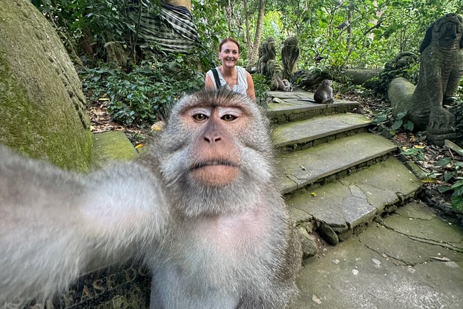 Ubud Day Tour with Private Car & Local Driver - Tegalalang Rice Terrace: the classic Ubud view