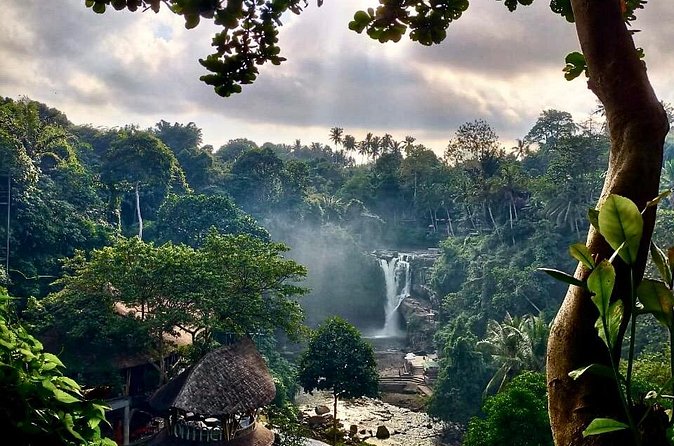 Ubud Day Tour with Private Car & Local Driver - The Sacred Monkey Forest and possible route changes