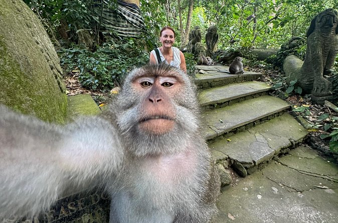 Ubud Day Tour with Private Car & Local Driver - Timing, traffic, and what the price really covers