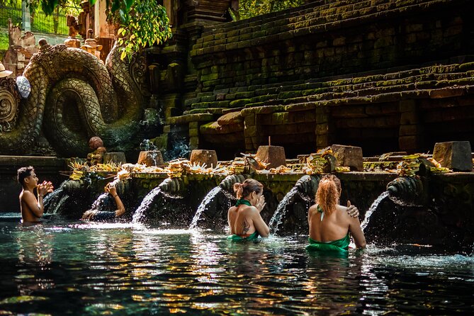 Ubud Experience | Full Day Private Tour in Ubud | FREE WIFI - Tegalalang Rice Terrace and the subak tradition