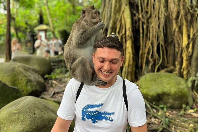 Ubud Full Day - Monkey Forest, Rice Terrace and Waterfalls Tour - What this $28.05 Ubud day really covers