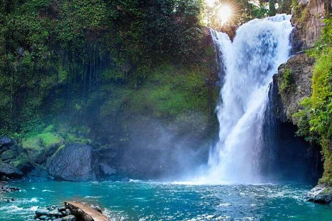 Ubud Full Day Tour Waterfall Monkey Forest Rice Terrace - Four famous Ubud sights without the planning headache