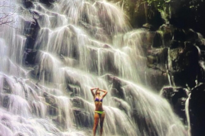 Ubud Highlight Rice Terrace,Waterfall,Temple and Art village - Hotel pickup from Seminyak and the value of a private car