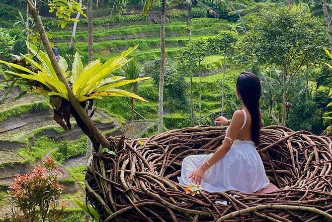 Ubud Highlights -Private Tour,Temples, Waterfalls & Rice terraces - Why this Ubud day trip works well from Seminyak