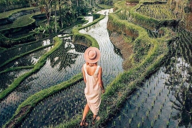 Ubud Highlights -Private Tour,Temples, Waterfalls & Rice terraces - Tegallalang Rice Terrace: views, stairs, and photo stops