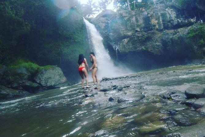 Ubud Hot Springs and Waterfall Private Guided Tour - The real price is higher than $18.12