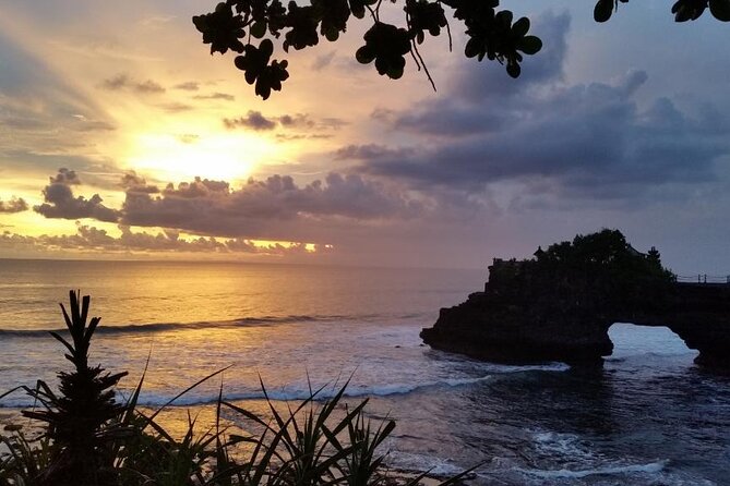 Ubud Kintamani Tour - Sacred Monkey Forest Sanctuary in Ubud