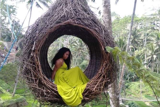 Ubud Natural Gems And Secret Waterfall Private Guided Tour - Lunch With Mount Batur In The Plan