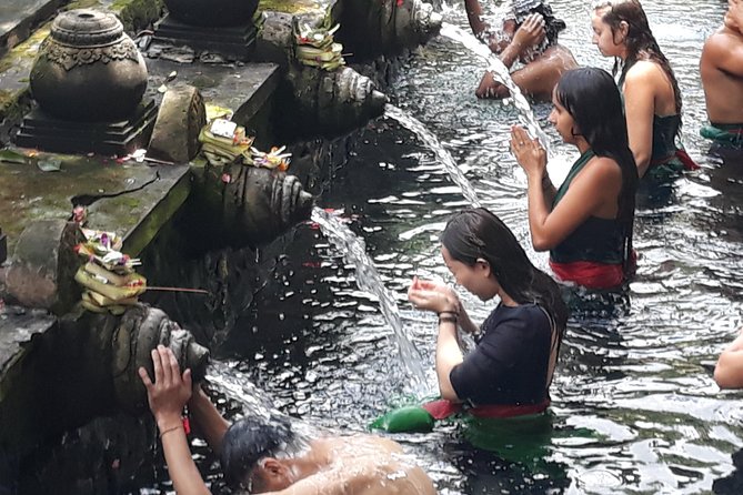 Ubud Natural Gems And Secret Waterfall Private Guided Tour - A Short Village Garden Visit In Tampaksiring