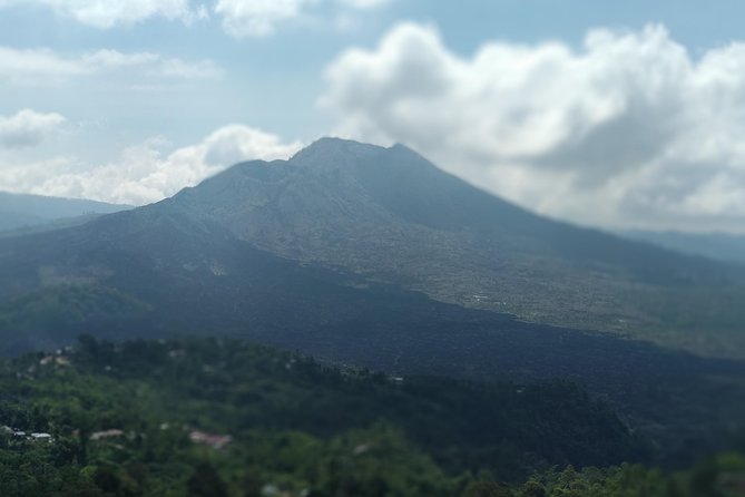 Ubud Private & Customize Day Tour - Why this Ubud route works well in one day
