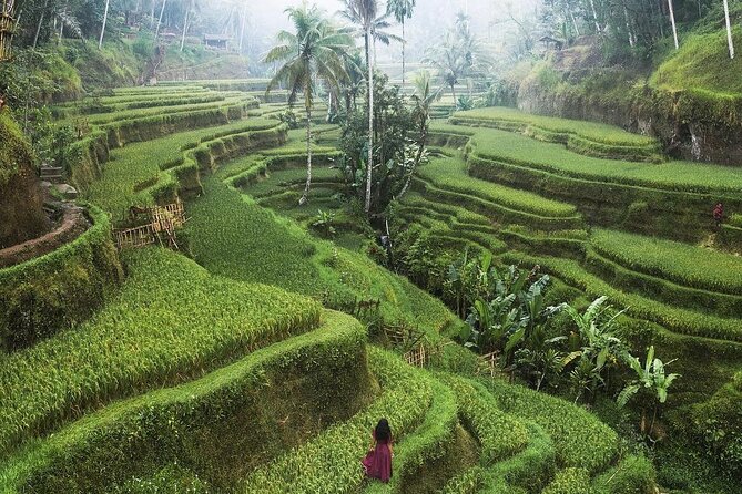 Ubud Private Full-Day Tour - A full day means careful pacing