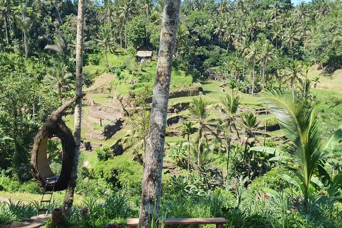 Ubud Private Tour - Gunung Kawi Sebatu Temple and its holy springs