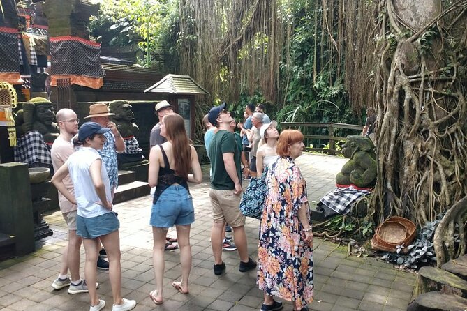Ubud Private Tour - Tegenungan Waterfall to finish the route