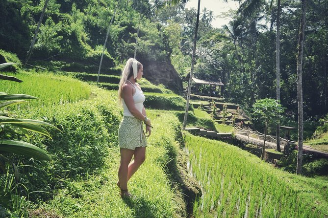 Ubud Private Tour : Choice Your Own Trip - Tegenungan Waterfall and the cost of a quick stop