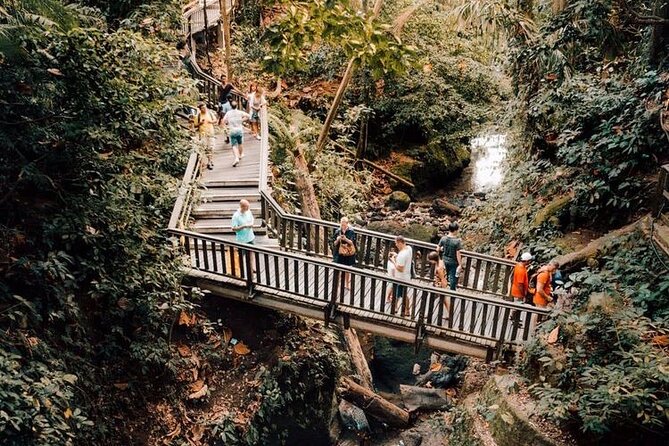 Ubud Private Tour: Monkey Forest, Rice Terrace, Temple, Waterfall - One day, four sides of Ubud